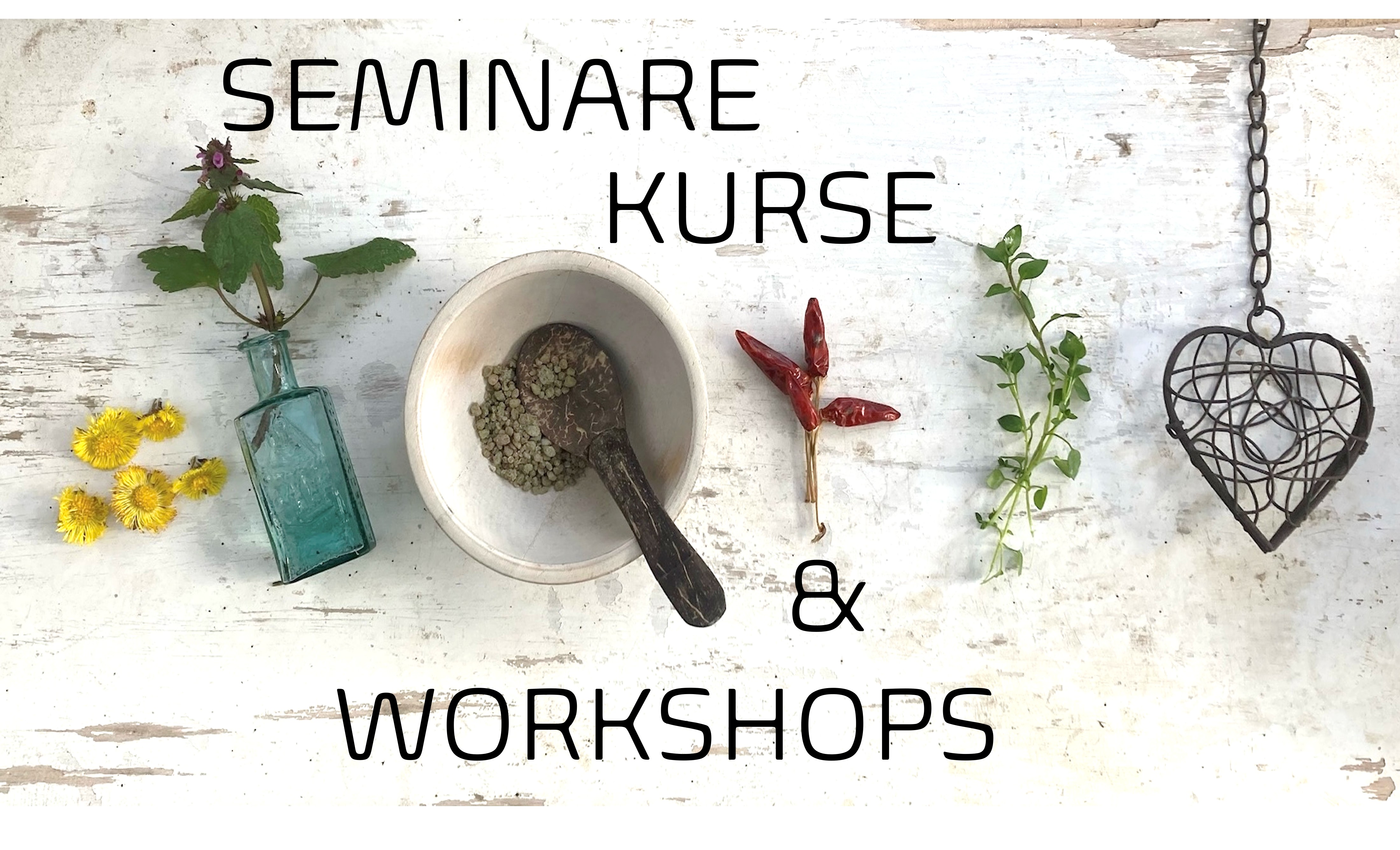 images/Seminar_Kurse.jpg#joomlaImage://local-images/Seminar_Kurse.jpg?width=4400&height=2672